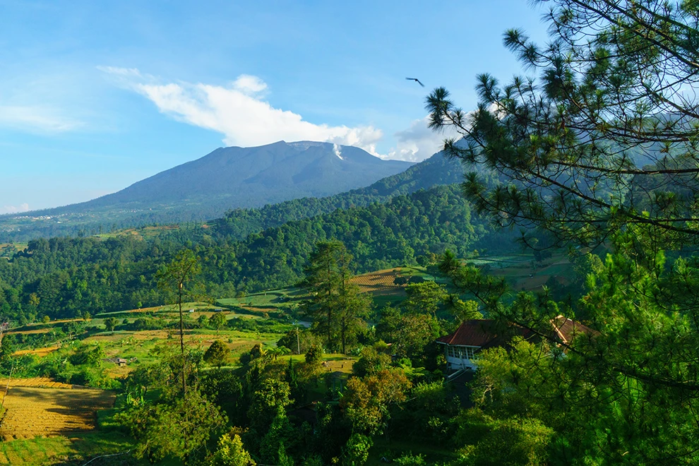 Gede-Pangrango National Park